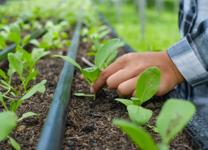 やってみたいを仕事にする